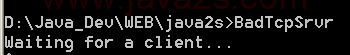 Bad Tcp Server