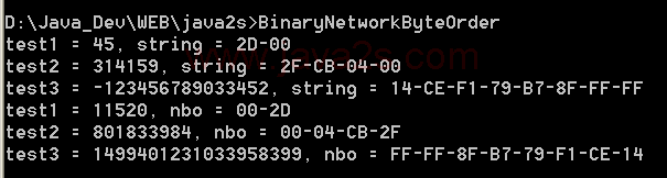 Binary Network Byte Order