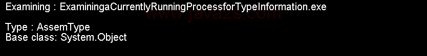 Examining a Currently Running Process for Type Information