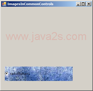 Load image to RadioButton