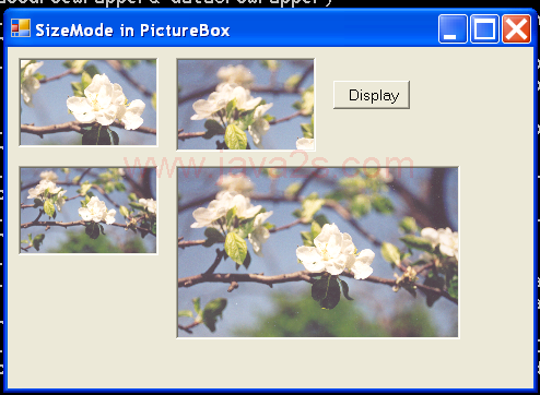 PictureBox Demo