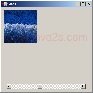 Use ScrollBar to control the picture size