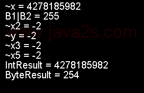 Using the Bitwise Complement Operators with Various Data Types