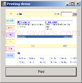 Assign Bmp file to a Print Document