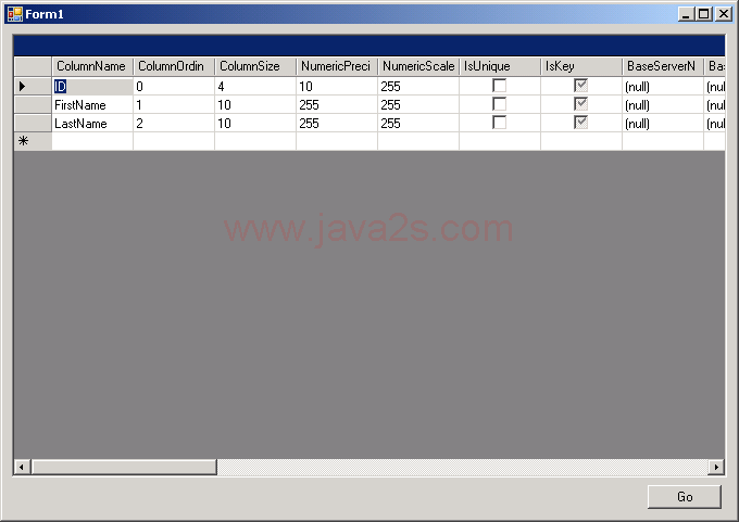 Use datagrid to display table schema