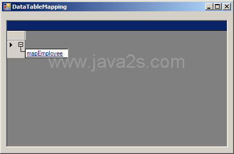 DataTableMapping and DataGrid
