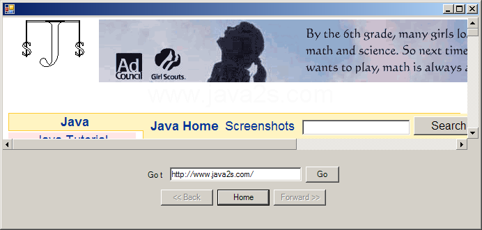Simpel Web Browser with forward, backward button