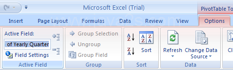 Rename a field in a PivotTable