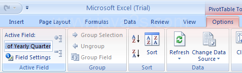 Click the PivotTable report. Click the Options tab. Click the Active Field Name box, type a new name and then press Enter.