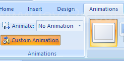 Click the Animations tab, and then click the Custom Animation button.