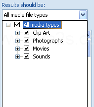 Click the Results Should Be list arrow, and then select the check box next to the types of clips.