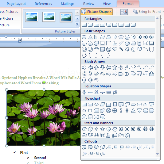 Click the Picture Shape button.