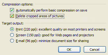 Select or clear the 'Delete cropped areas of pictures' check box to reduce file size.