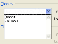 Click the second Sort by list arrow, select another column name, and then select the related sorting options.